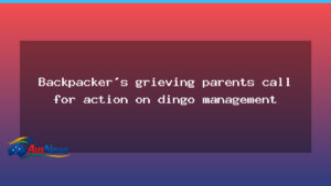 Grieving backpacker’s parents call for action on dingo management on Fraser Island - grieving backpacker parents