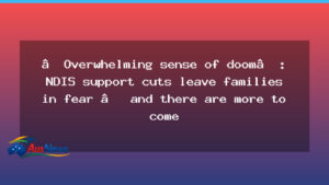 NDIS reforms spark fear as support changes head for rollout - ndis reforms spark