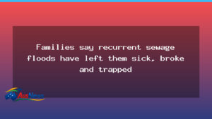 Lowood families battle recurrent sewage floods as heavy rain returns - lowood families battle