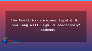 Coalition holds together as Ley leadership questions loom - coalition holds together