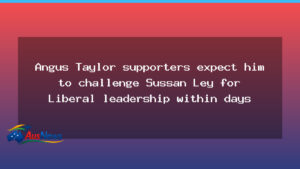 Taylor supporters anticipate Liberal leadership challenge against Ley within days - taylor supporters anticipate