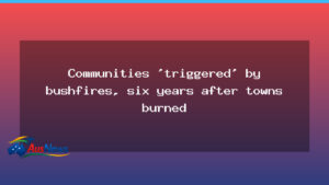 Six years on, NSW bushfire recovery persists along the South Coast - new south wales