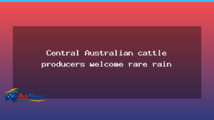Rare Rain Brings Relief to Central Australian Cattle Stations - rare rain brings