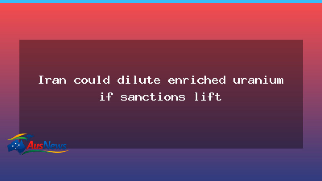 Iran could dilute enriched uranium if sanctions lifted - iran could dilute