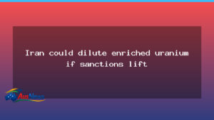 Iran could dilute enriched uranium if sanctions lifted - iran could dilute