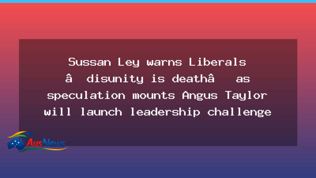 Ley warns unity crucial as Liberal leadership speculation grows - ley warns unity