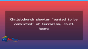 Christchurch attacker sought a terrorism conviction, court hears - christchurch attacker sought