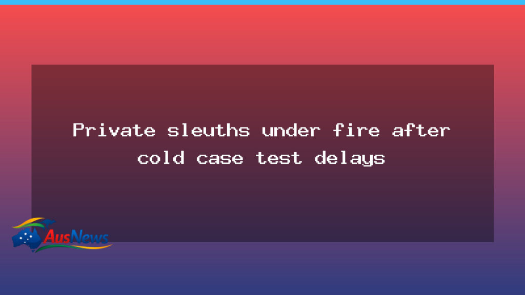 Private sleuths scrutinised as cold-case tests lag in long‑running missing girls inquiry - private sleuths scrutinised