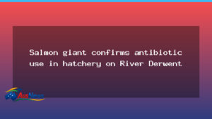 Salmon giant confirms antibiotic use in hatchery on River Derwent - salmon giant confirms