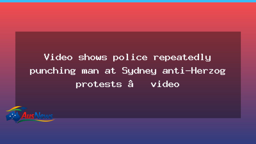 Video captures alleged police punches during Sydney anti-Herzog protests - video captures alleged