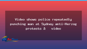 Video captures alleged police punches during Sydney anti-Herzog protests - video captures alleged