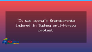 Elderly couple injured during Sydney protest against Herzog visit - elderly couple injured
