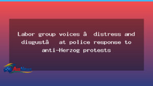 Labor group calls for independent review of NSW police actions - labor group calls