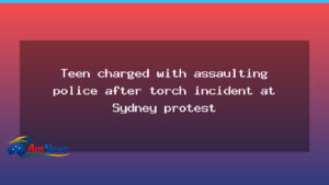 Teen charged with assaulting police after torch incident at Sydney protest - teen charged assaulting