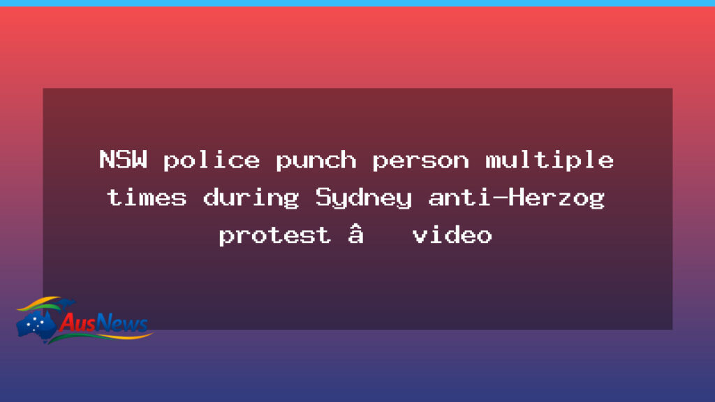 NSW police criticised after video of officer punching protester in Sydney anti-Herzog rally - nsw police criticised