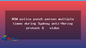 NSW police criticised after video of officer punching protester in Sydney anti-Herzog rally - nsw police criticised