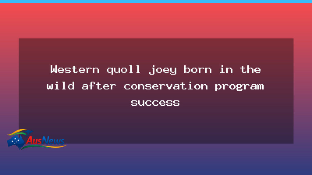 Wild Western quoll joey born in NSW after conservation push - wild western quoll