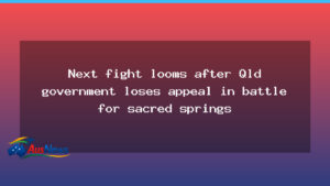 Doongmabulla springs: Queensland appeal loss opens next phase - doongmabulla springs queensland