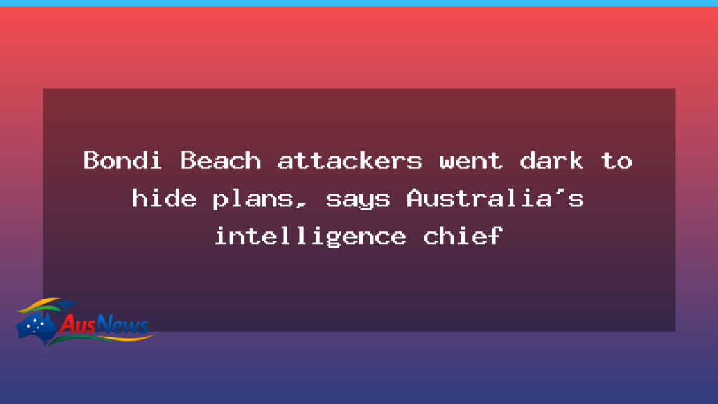 ASIO chief: Bondi Beach attackers masked plans to hide intentions - asio chief bondi