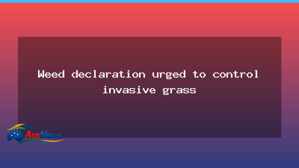 Buffel grass declaration urged to curb invasion across the outback - buffel grass declaration