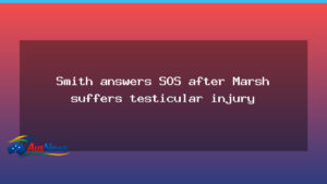 Smith on standby as Marsh injury update unsettles Australian World Cup plans - smith standby marsh