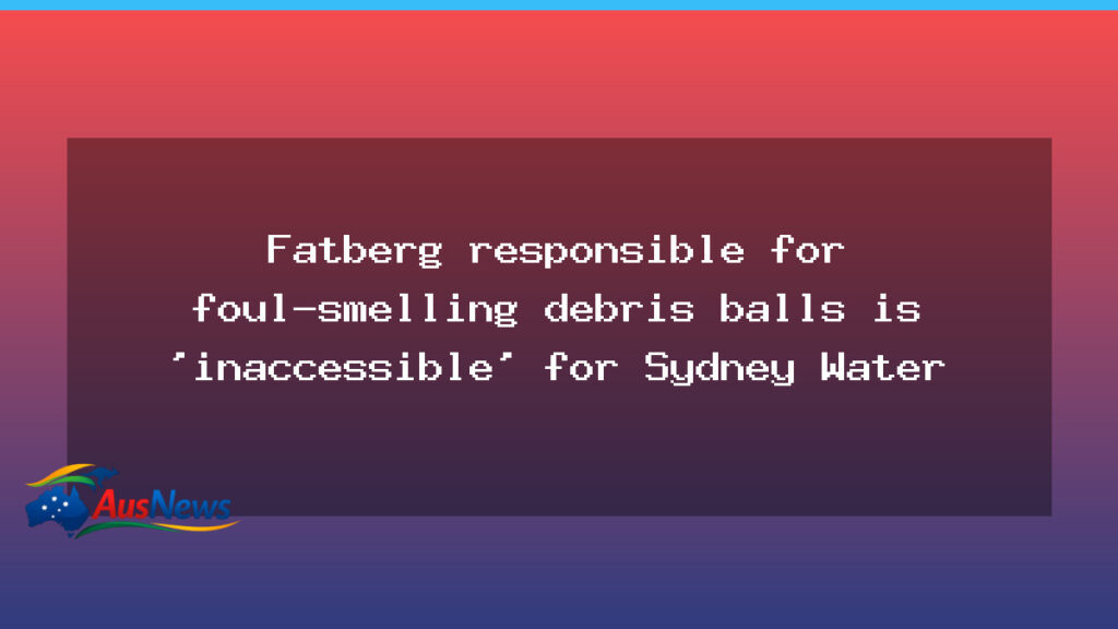 Inaccessible fatberg behind NSW debris balls draws attention to sewer challenge - inaccessible fatberg behind