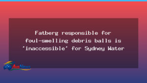 Inaccessible fatberg behind NSW debris balls draws attention to sewer challenge - inaccessible fatberg behind