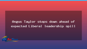 Angus Taylor steps down ahead of expected Liberal leadership spill - angus taylor steps