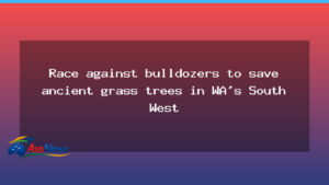 Race to protect WA’s ancient grass trees as bulldozers press on in the South West - western australia